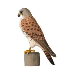 Tornfalk (trä)