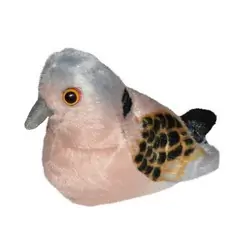 Turturduva (med ljud)