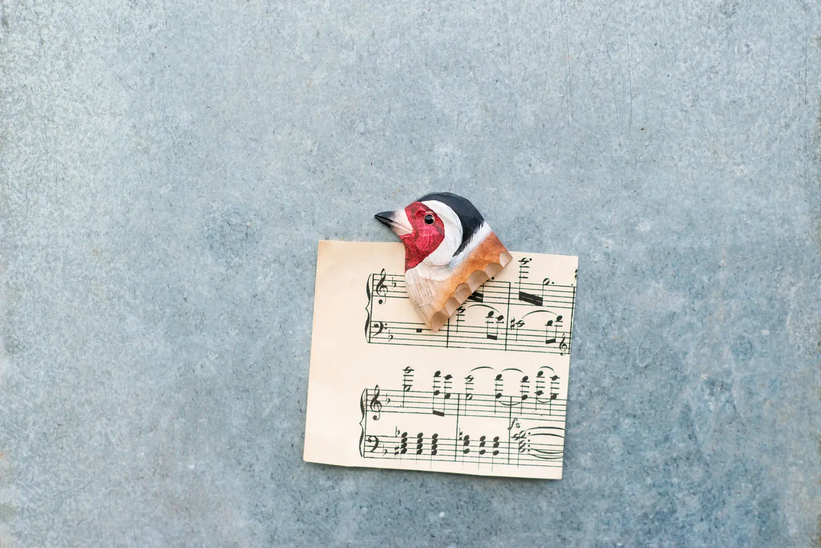 Magnet (steglits)