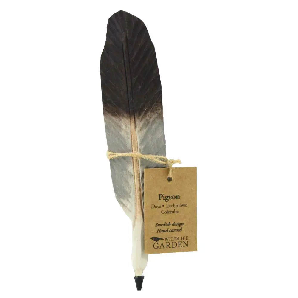 Penna (duva)